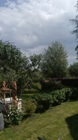 VID-20250714-WA0015.mp4