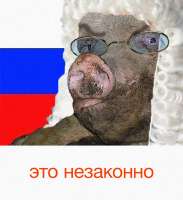 хрю правосудие.jpg