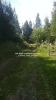 17527664039550.mp4