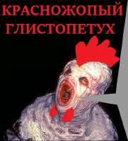 красножопый глистопетух.jpg