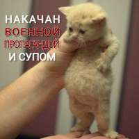 суп.jpg