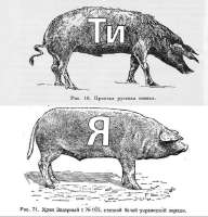 17541181057150.jpg