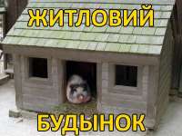 17310478205280.png
