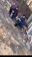 17522678644172.mp4