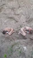 17523321821160.mp4
