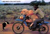 redneck.jpg.2a2e6aae206d1415716fa8374744c244.jpg