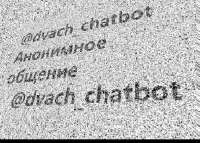17076477955220.jpg