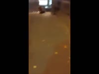 16083140742270.webm
