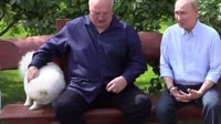 0801 (3).mp4
