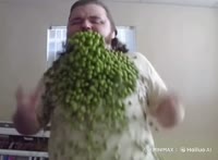 VID20250818235851613.mp4