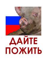 17410895893490.png