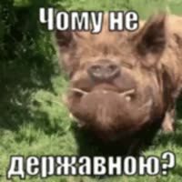 Хохолебаный.webm