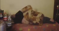 ogr5.mp4