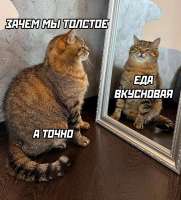 X2Twitter.comGx9pURLWwAARRj5.jpg