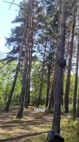 17558530560520.mp4