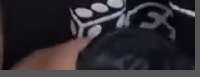 Screenshot2.png