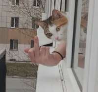 1756792261890.webp
