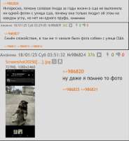 IMG8751.png