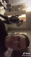 17509600058760.mp4