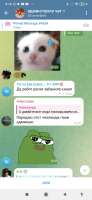 Screenshot2025-09-03-00-10-29-687org.telegram.messenger.jpg