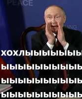 хохлы.jpg