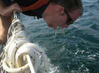 seasick.00-720x530.jpg