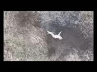 VID20250910182408118.mp4