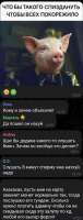 Screenshot20251030142332Telegram.jpg