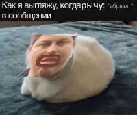 17598627432480.jpg