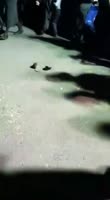1750044760580622.mp4