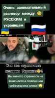 17510478829150.mp4
