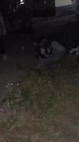 17517431360100.mp4