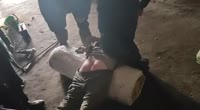 17523321301572.mp4