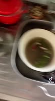 16604564836260.mp4