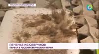 16591073963550.mp4