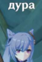 16978184392970.png