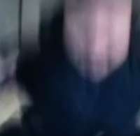 2365446.jpg