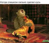1729418129-280bbcc57b7097a7ab68b0fefa1ce3e1.jpeg