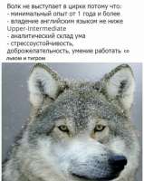 15785620159930.jpg