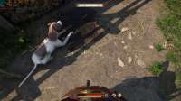 KingdomCome20250529113419752.jpg