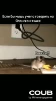 aqabcerks0f0d8m0268x480.mp4