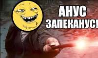 анус запеканус.jpg