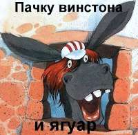 17456818174831.jpg