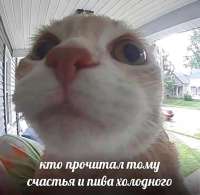 1682782077136.jpeg