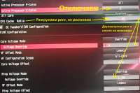 downvolt.jpg