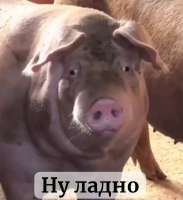 17572308085690.jpg