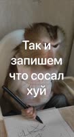 video5323353208792308228.mp4