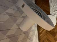 IMG6465.jpeg