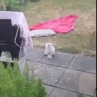 blink, motherfucker.mp4