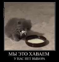 ezgif-5-bdf02a43d1.gif
